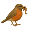 The early bird gets the worm